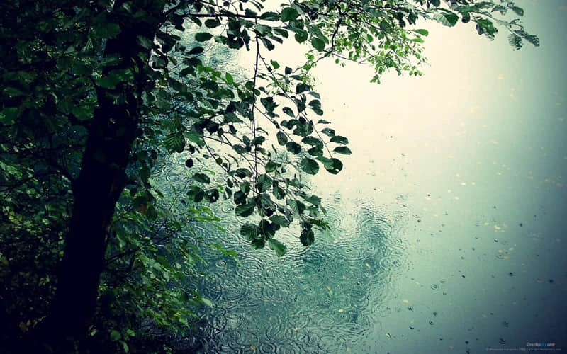 _2
