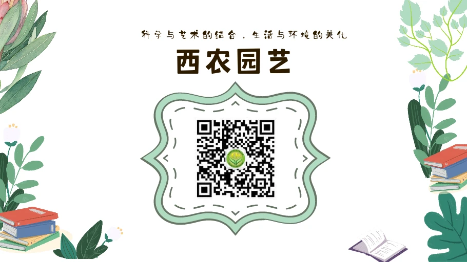 业余爱好者如何系统地学习篮球技能_1